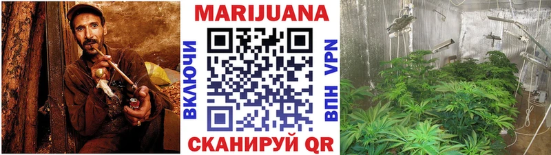 Каннабис индика  Купить  Псков